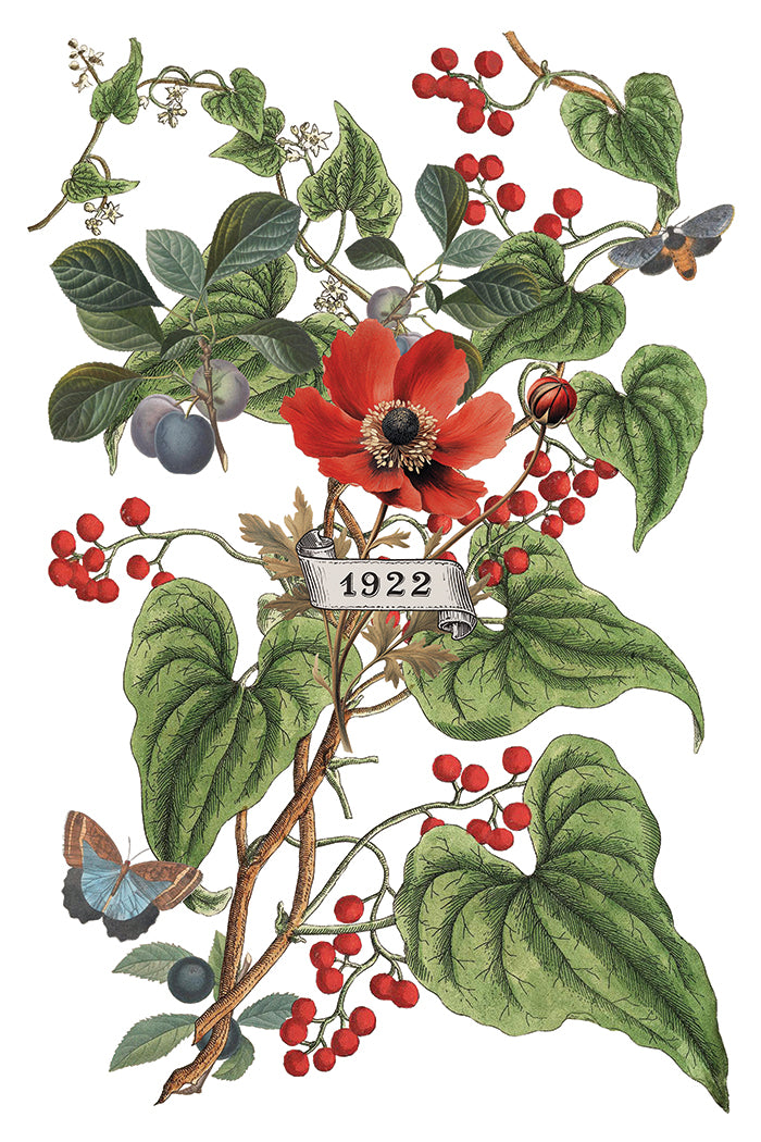 Iron Orchid Designs Clementine 8" x 12" Transfer Pad *New