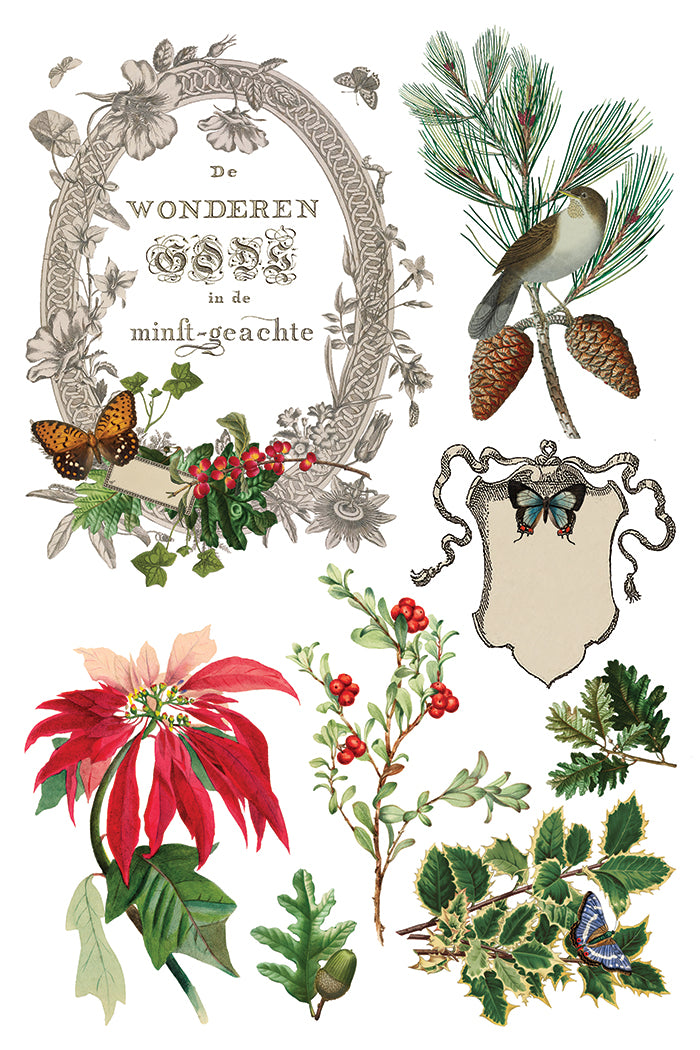 Iron Orchid Designs Winter Botanist 8" x 12" Transfer Pad *New