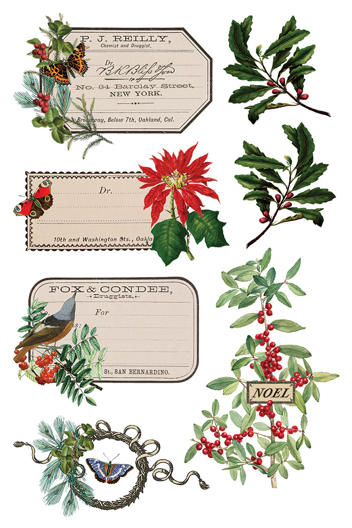 Iron Orchid Designs Winter Botanist 8" x 12" Transfer Pad *New