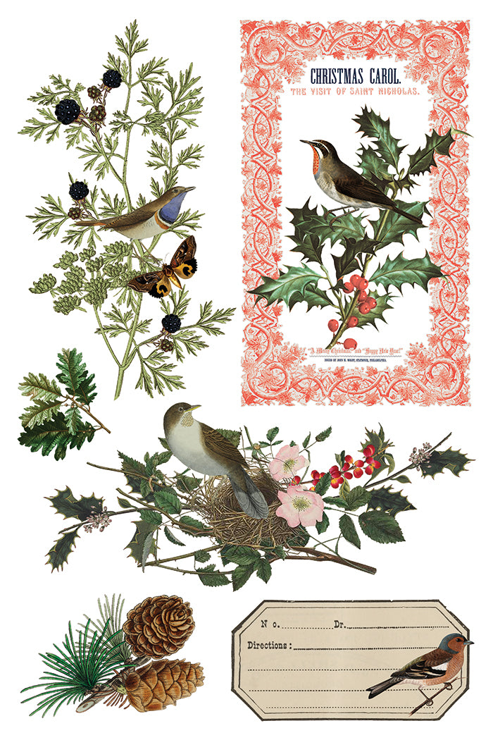 Iron Orchid Designs Winter Botanist 8" x 12" Transfer Pad *New