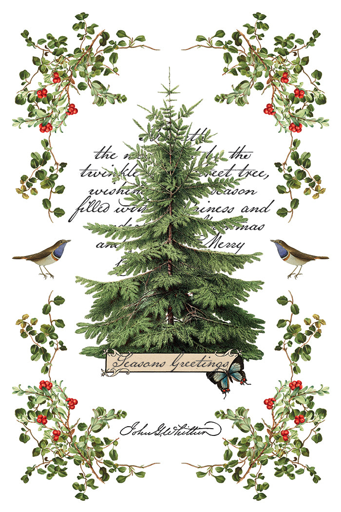 Iron Orchid Designs Winter Botanist 8" x 12" Transfer Pad *New