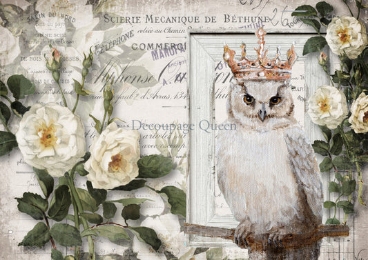 Decoupage Queen Wise Friends Rice Paper
