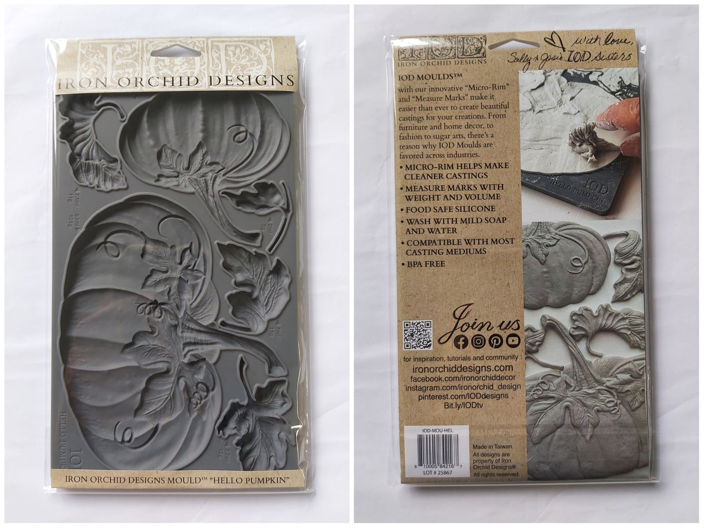 Iron Orchid Designs Hello Pumpkin Mould - Limited Supply *Retired Product