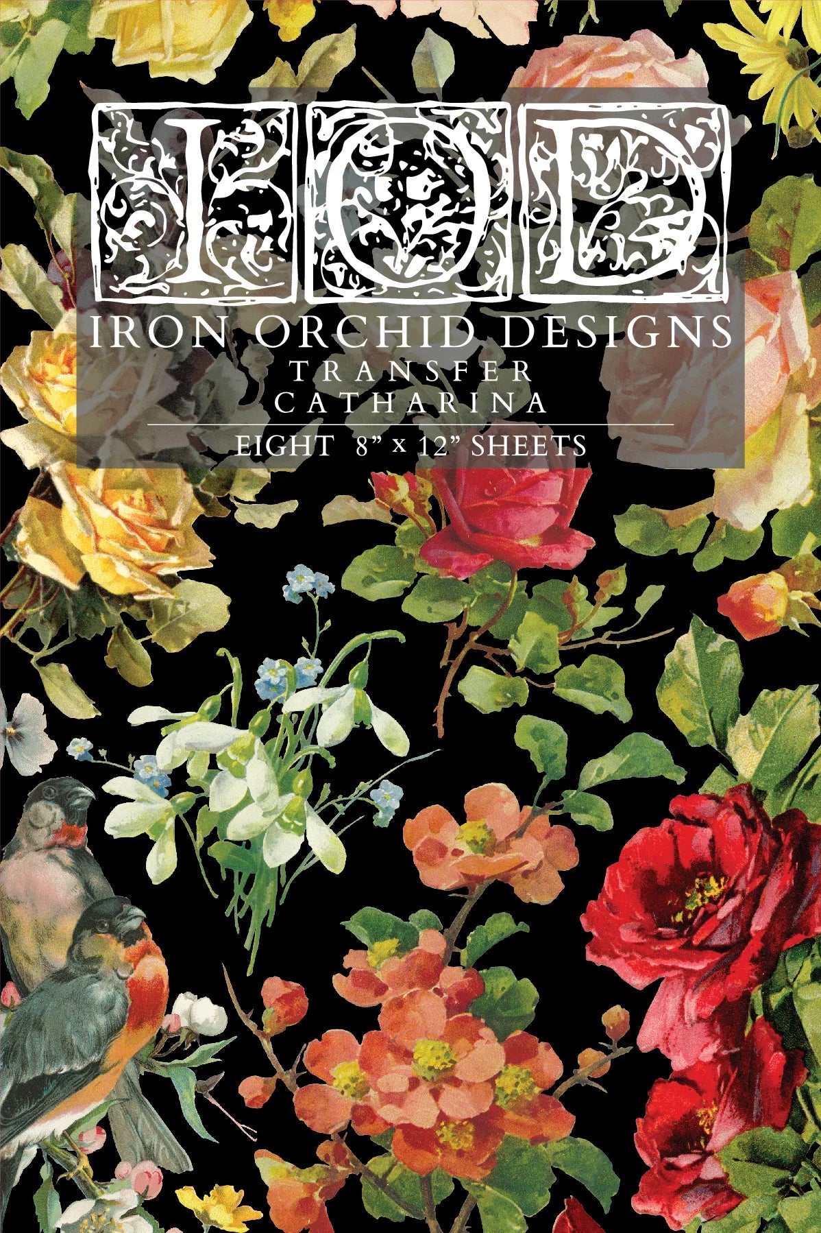 Iron Orchid Designs Catharina 8x12 Transfer (8 sheets) *New