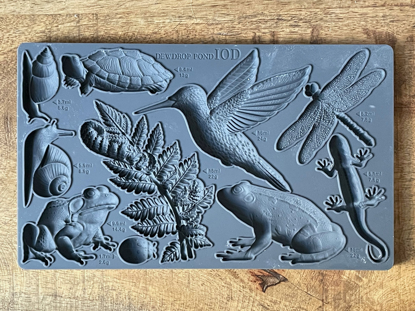 Iron Orchid Designs Dewdrop Pond 6X10 IOD Mould
