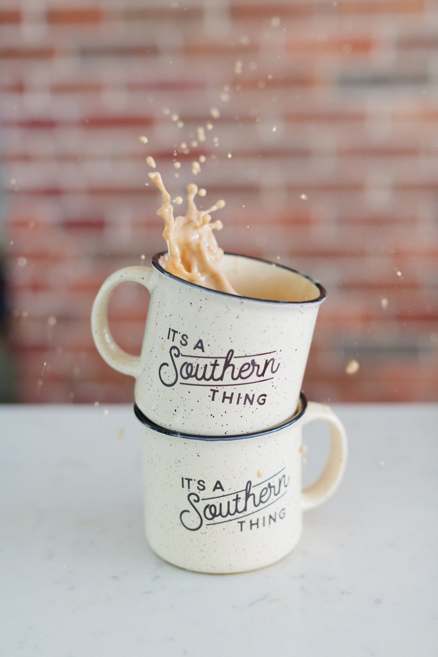 IAST Campfire Mug