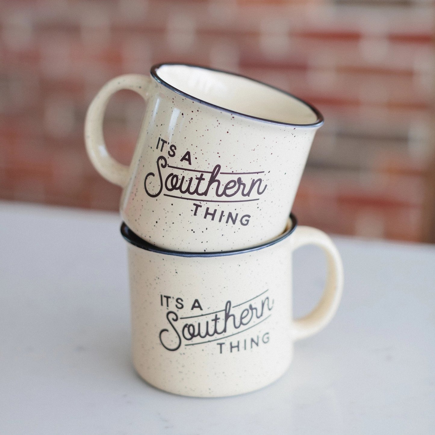 IAST Campfire Mug