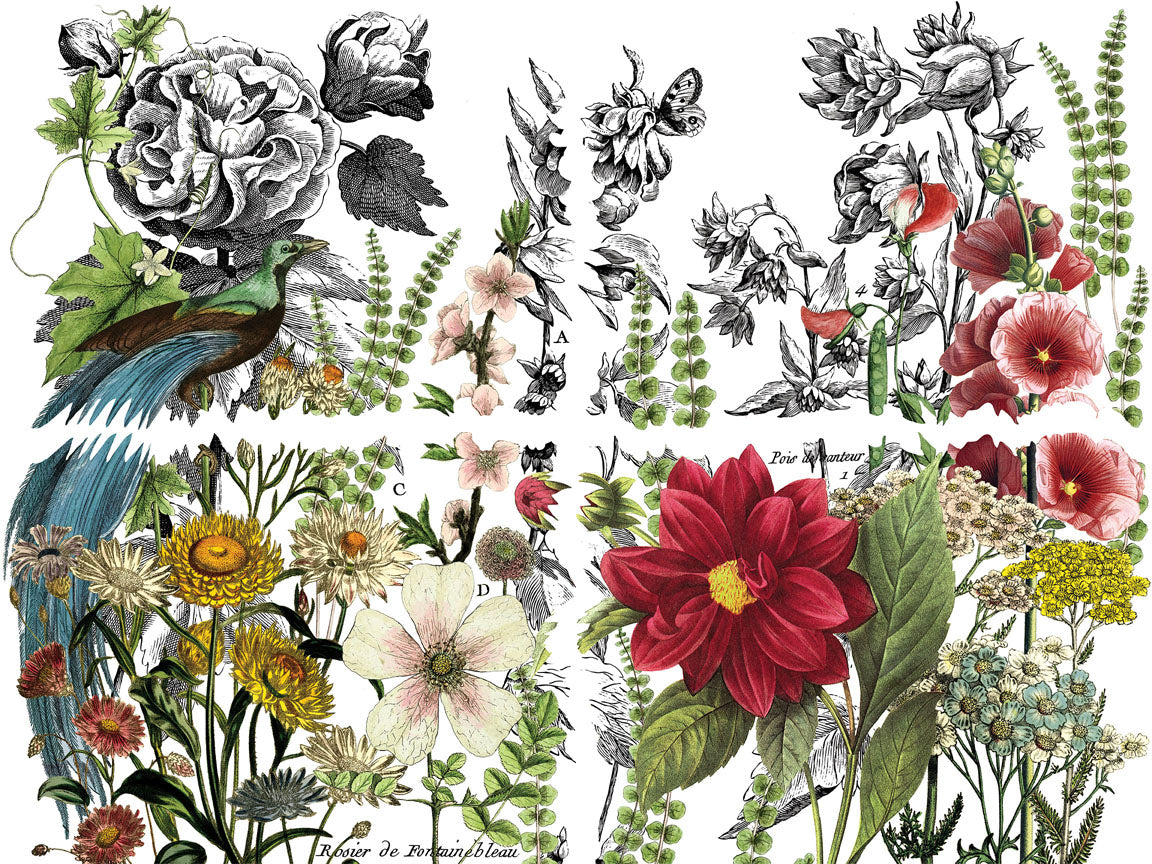 Iron Orchid Designs Midnight Garden Transfer Pad (4 sheets)