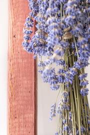 Fusion HSH MILK PAINT STAIN
