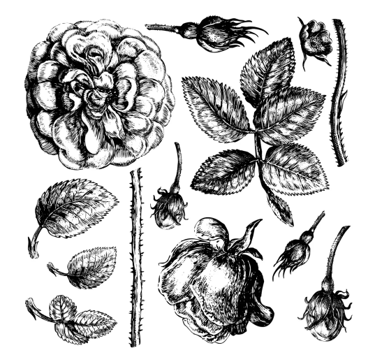 Iron Orchid Designs Lady of Shallot Stamp (Retired)