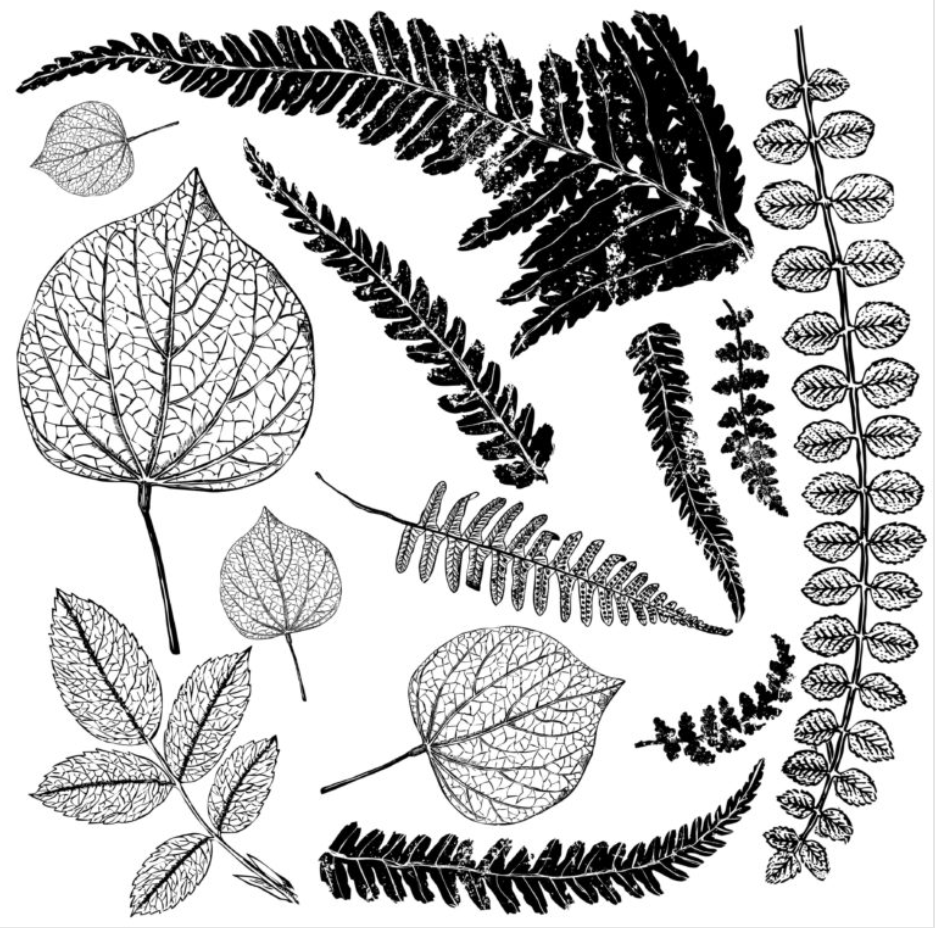 Iron Orchid Designs Fronds 12" x 16" Transfer Pad (4 sheets)