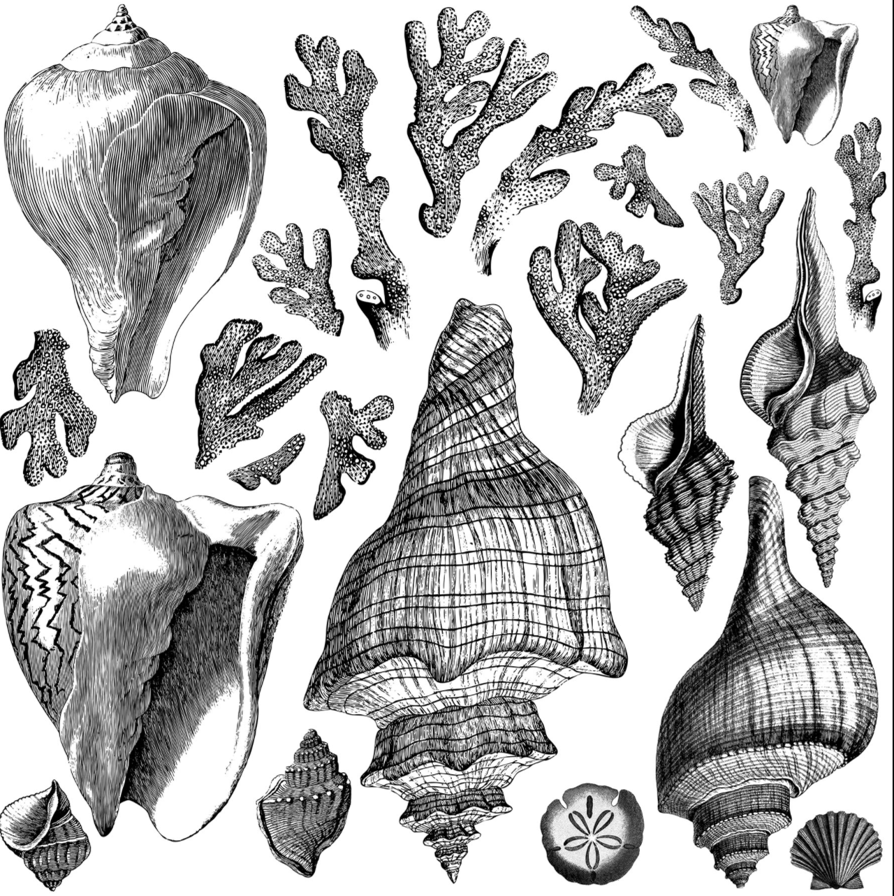 Iron Orchid Designs Seashore Stamp (Retired)