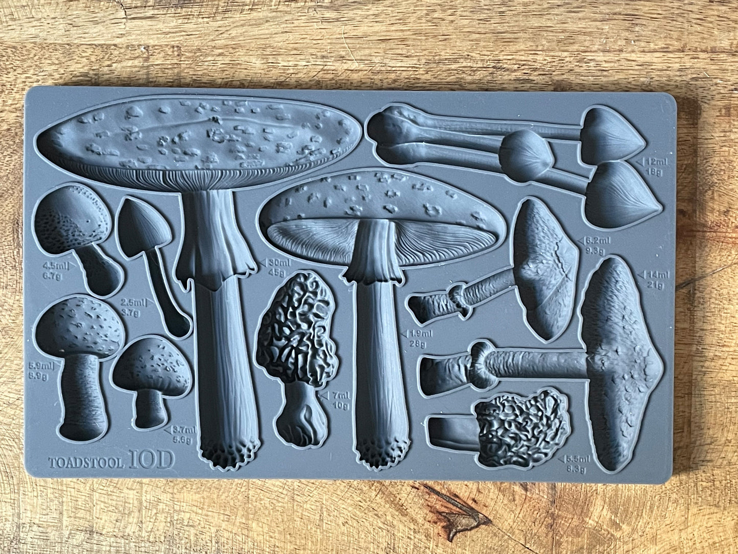 Iron Orchid Designs Toadstool 6X10 IOD Mould