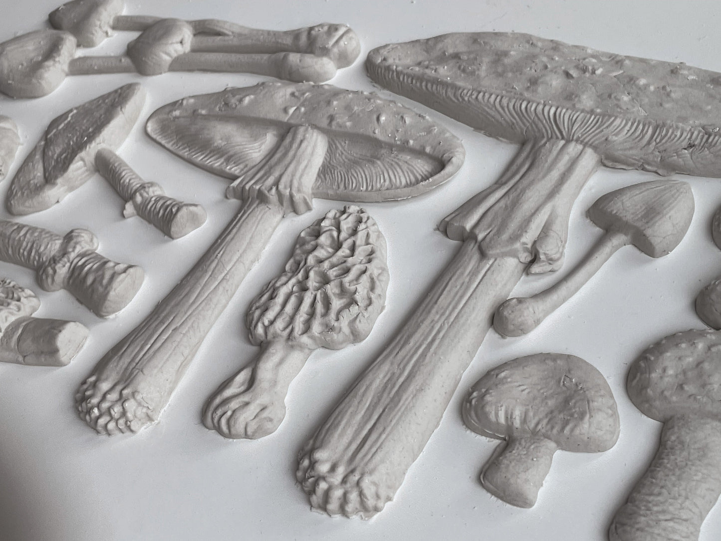 Iron Orchid Designs Toadstool 6X10 IOD Mould