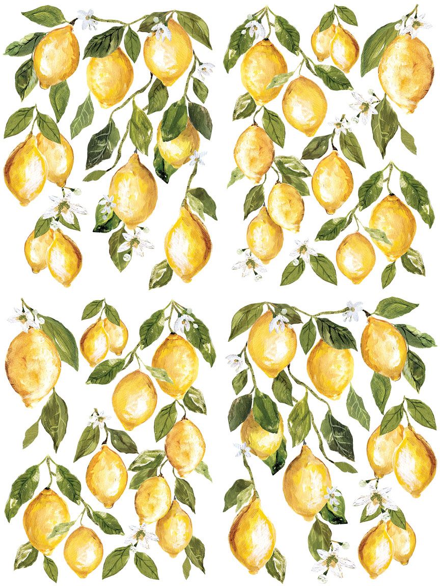 Iron Orchid Designs Lemon Drops Transfer Pad (4 sheets) (Retired)