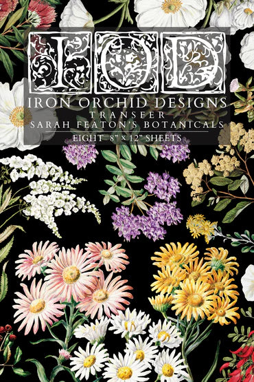 Iron Orchid Designs Sarah Featon's Botanicals Transfer *New