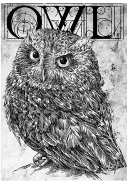 Paper Designs Christmas Rice Paper: Illustrated Owl - Large Format