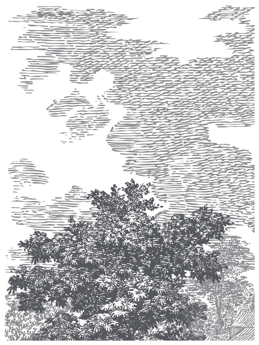 Iron Orchid Designs Summer Villa Paint Inlay 12" x 16" pad