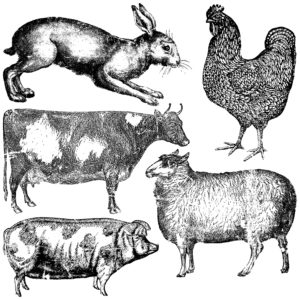 Iron Orchid Designs Farm Animals Decor Stamp