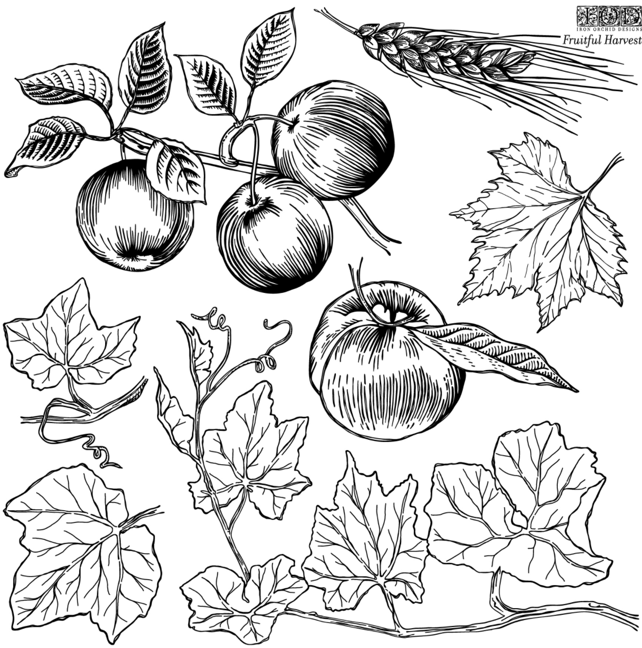 Iron Orchid Designs Fruitful Harvest Stamp (Retired)