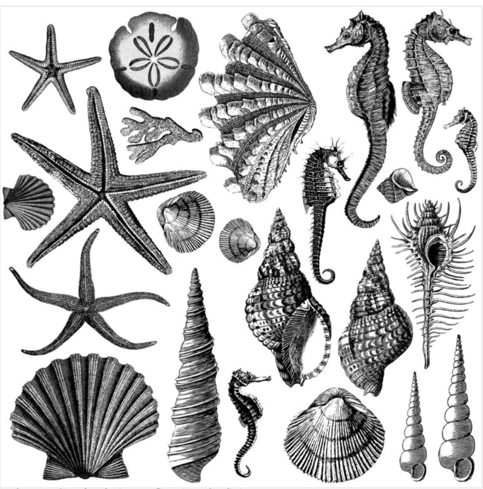 Iron Orchid Designs Seashore Stamp (Retired)