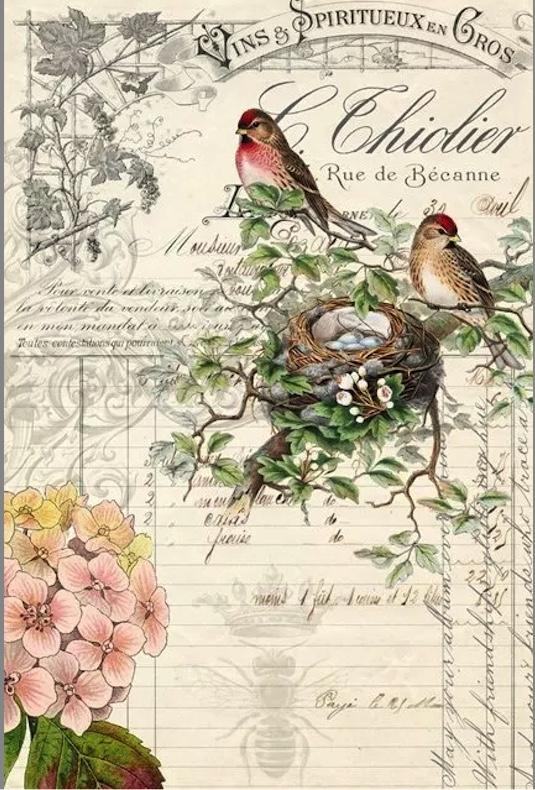 Roycycled Bird Ephemera Decoupage Paper