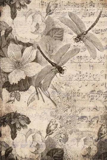 Roycycled Musical Dragonflies Decoupage Paper